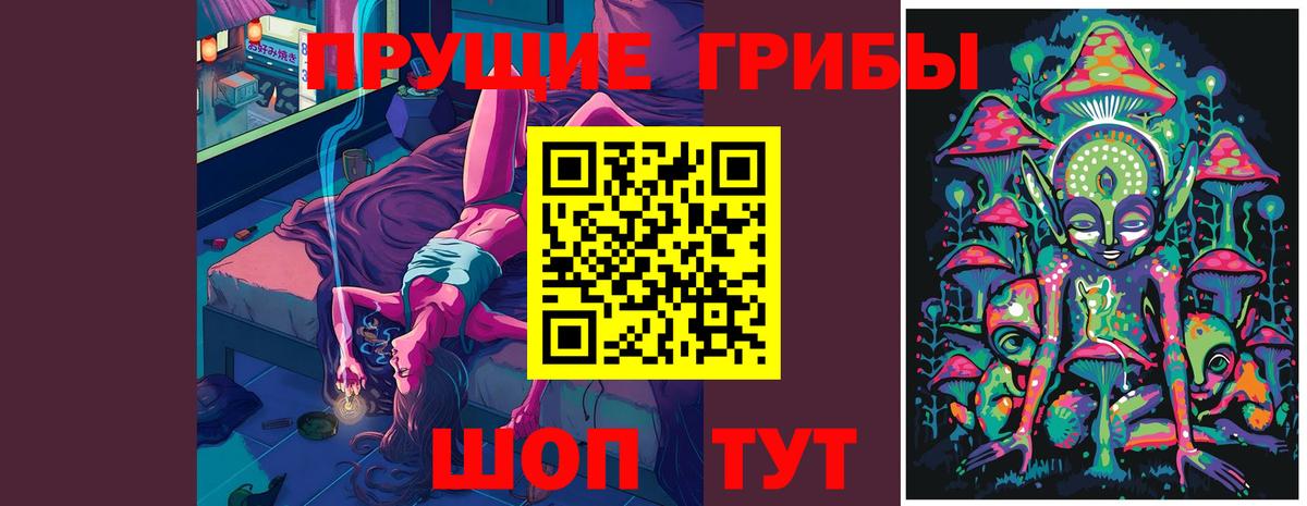 Бийск  Псилоцибиновые грибы Psilocybine cubensis  Псилоцибиновые грибы MAGIC MUSHROOMS  Вход с VPN 