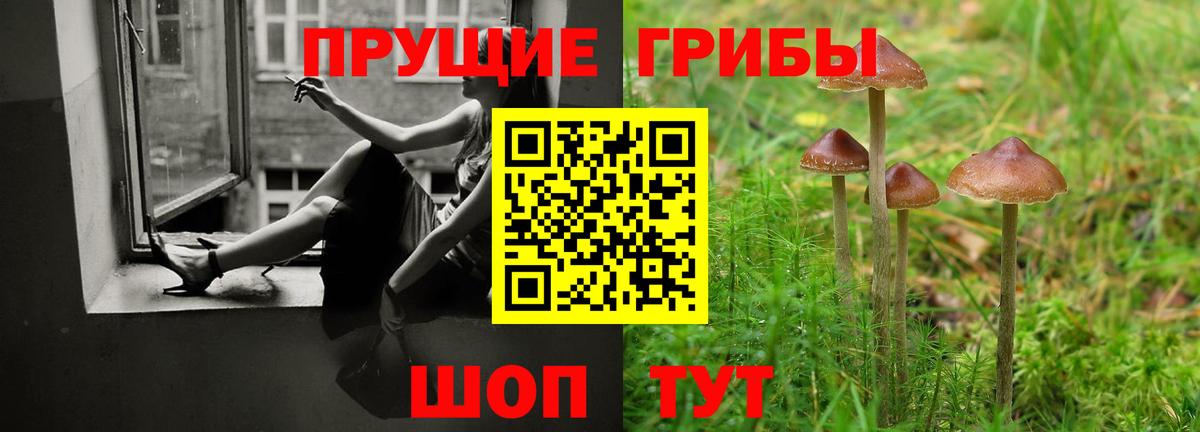 Галлюциногенные грибы Psilocybine cubensis Бийск