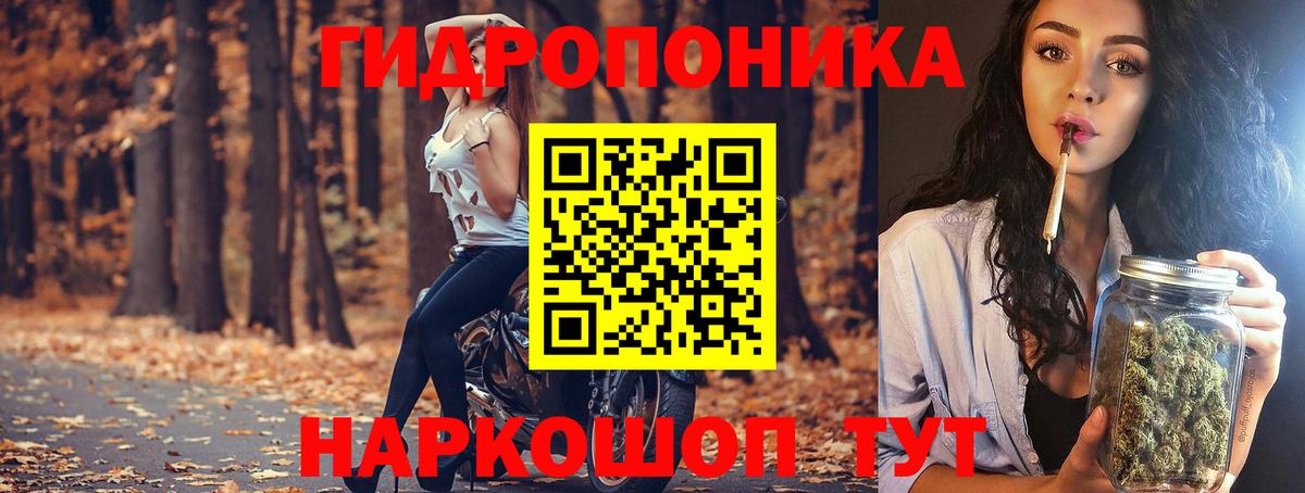 Бошки Шишки OG Kush  Вход с VPN  Бийск  Бошки марихуана SATIVA & INDICA 